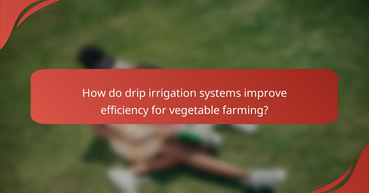 How do drip irrigation systems improve efficiency for vegetable farming?
