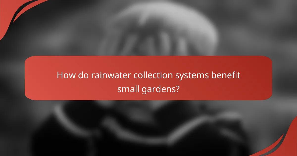 How do rainwater collection systems benefit small gardens?