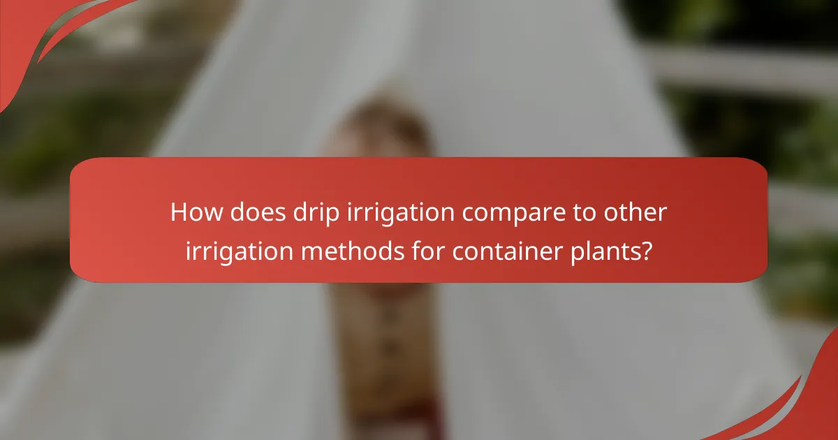 How does drip irrigation compare to other irrigation methods for container plants?