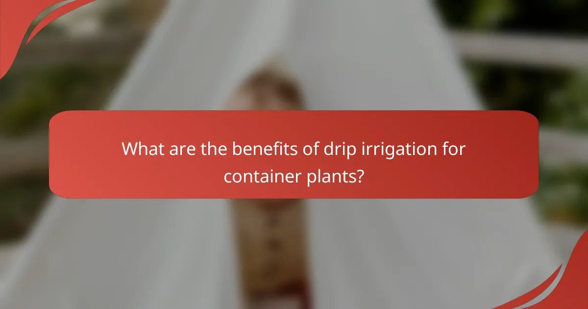 What are the benefits of drip irrigation for container plants?