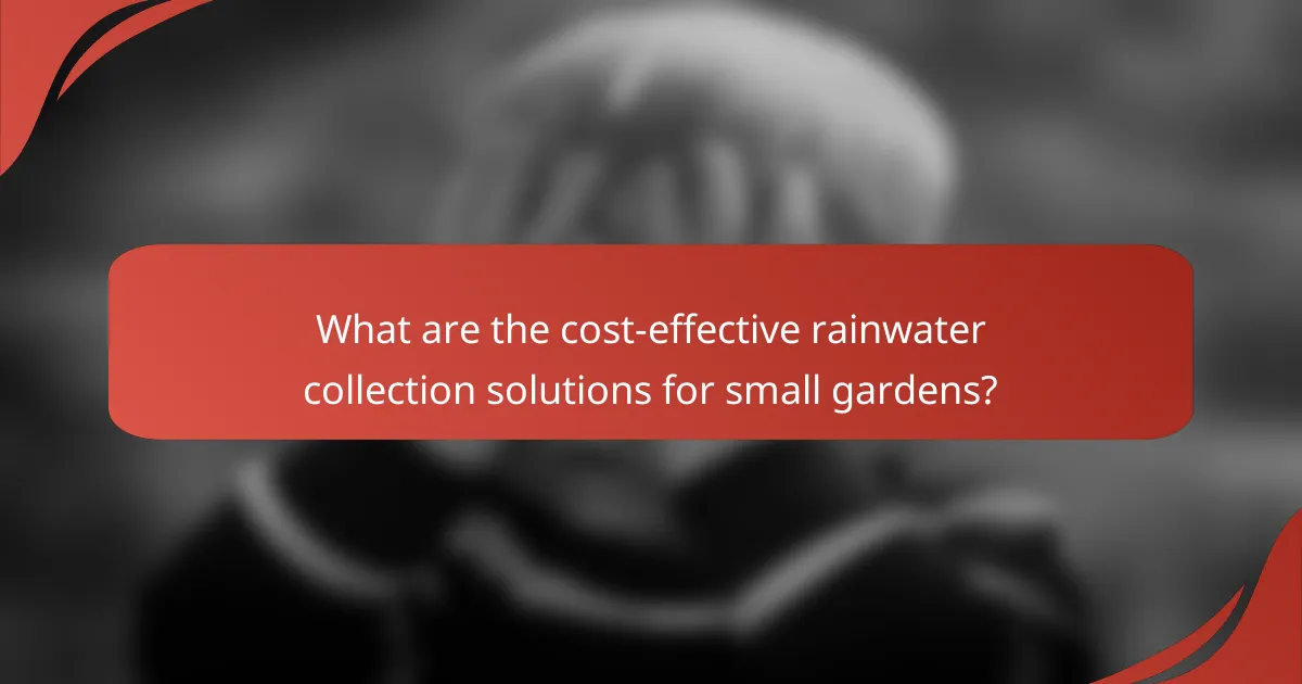 What are the cost-effective rainwater collection solutions for small gardens?