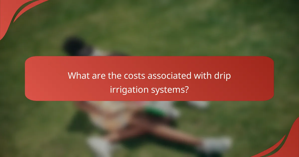 What are the costs associated with drip irrigation systems?