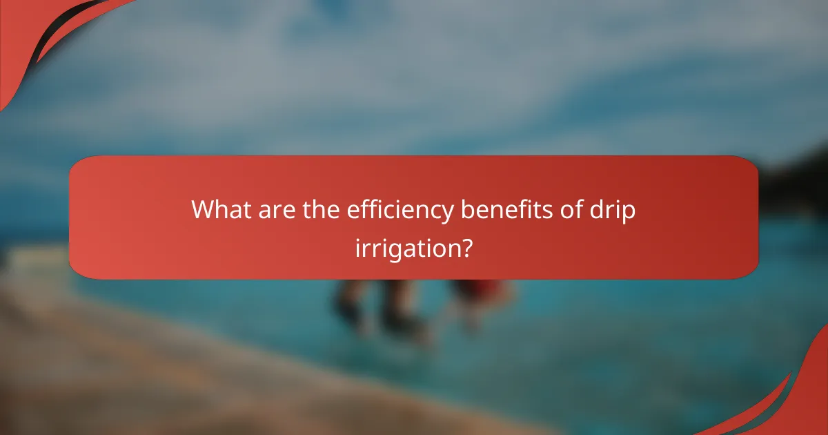 What are the efficiency benefits of drip irrigation?