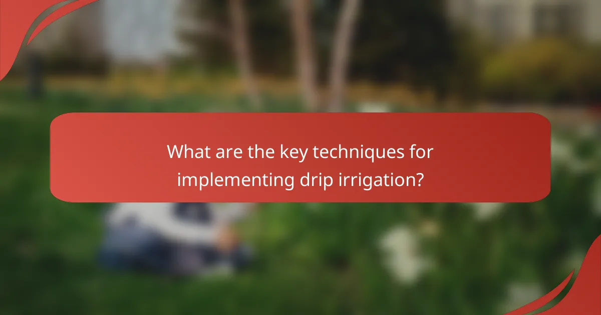 What are the key techniques for implementing drip irrigation?
