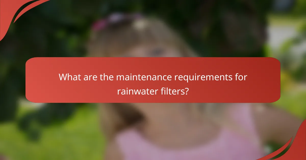 What are the maintenance requirements for rainwater filters?