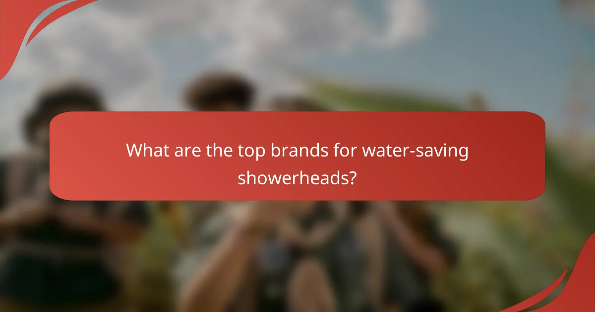 What are the top brands for water-saving showerheads?