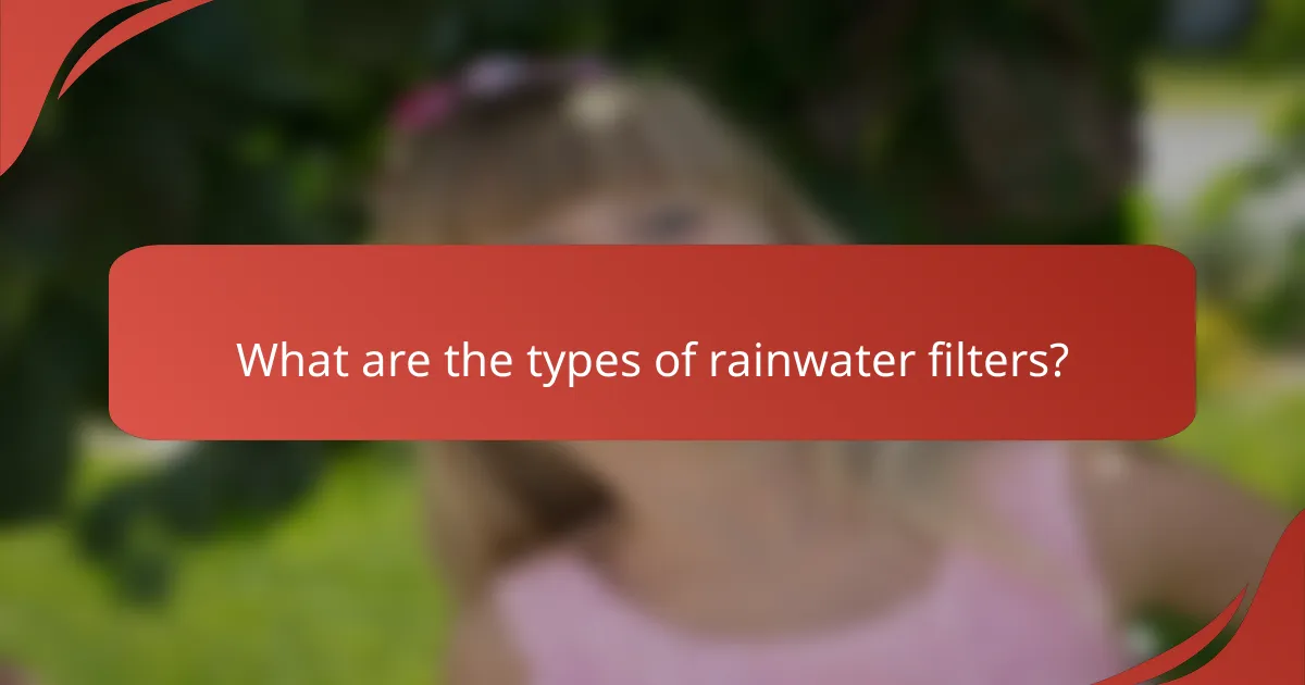 What are the types of rainwater filters?